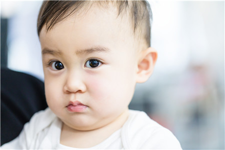 新潮的男婴儿小名属鼠