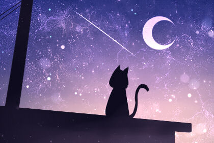 订婚吉日 2019年处暑订婚好不好