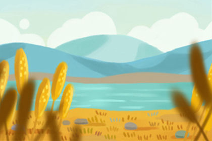 饺子和鱼 饺子和鱼