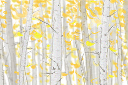 2020年世界读书日是几月几日