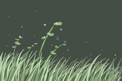 2020年有多少天 366天