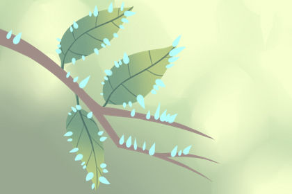 海南元宵民俗：换花节