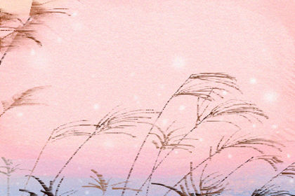 难忘师恩 教师节图片大全欣赏