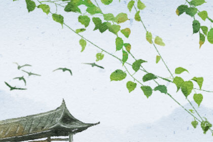 浴佛节是什么意思 仪轨是什么