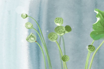 重阳节什么时候，2015年重阳节是几月几日？