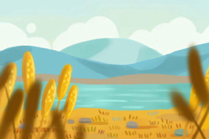 大夫山森林公园