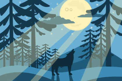 情人节送什么花 情人节送什么花