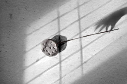 传统节日泥浆节的历史起源节日由来 传统节日泥浆节的历史起源节日由来