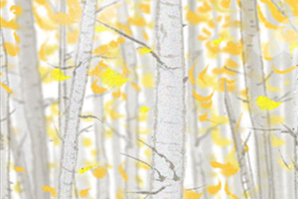 护士节应送什么花?