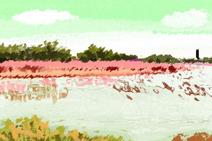 花朝节出生的女孩命好不好