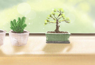 美艳百花不可挡!关于花朝节的图片 美艳百花不可挡!关于花朝节的图片