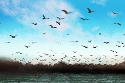 世界读书日的宣传标语 读书日宣传口号 世界读书日的宣传标语 读书日宣传口号