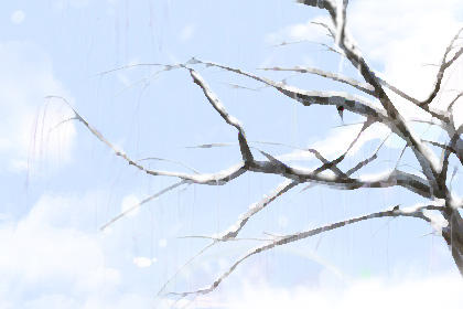 传统节日