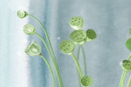 2017年美国独立日放假几天