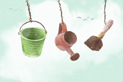 2020植树节是第几个 创意活动方案 2020植树节是第几个 创意活动方案