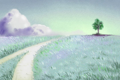 南瓜节活动方案