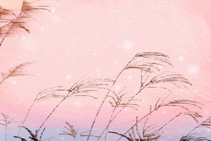 白色情人节