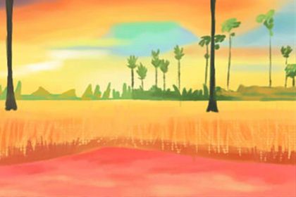 印度节日洒红节做什么