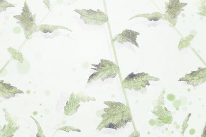 命理分析哪些女性朋友适合晚婚