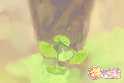 生肖配对