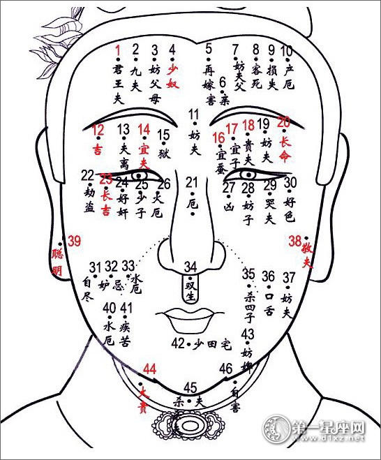 相术大全