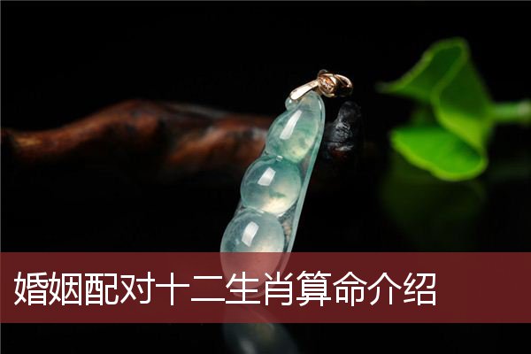 婚姻配对十二生肖算命介绍