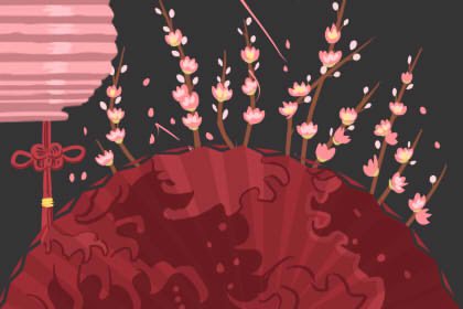 客厅财位养什么花最适合