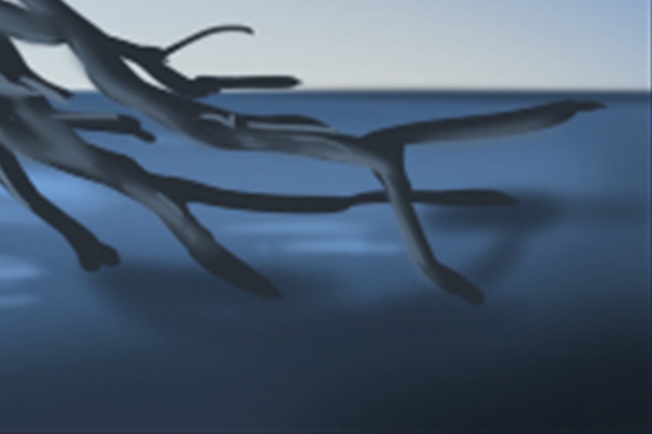 想学习一下周易我新手该怎么做?