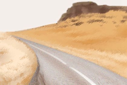 家里的盆栽摆放要讲究风水吗