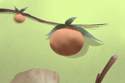 五行择日学藏本亚 茂哪里有卖?