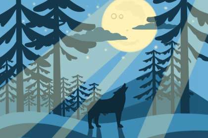 精彩发现:古代哪位易经大师最厉害