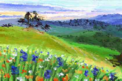 八卦罗盘可以算命吗 周易算卦是用什么器具呢?