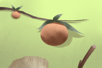 怎么看财位图片