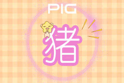属猪 属猪