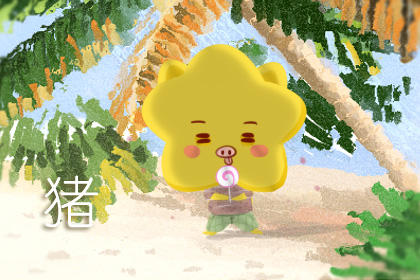 猪和龙属相合不合