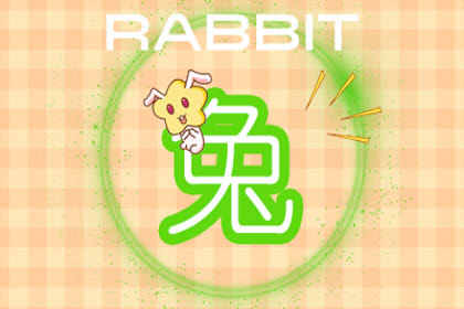 属兔 属兔