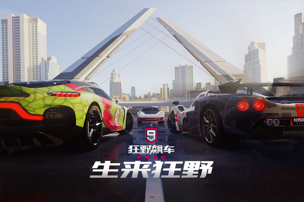 狂野飙车9破解版图1