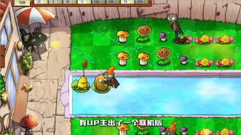 植物大战僵尸生态版图2