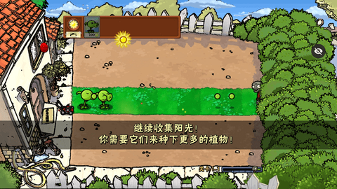 pvz噩梦版图1