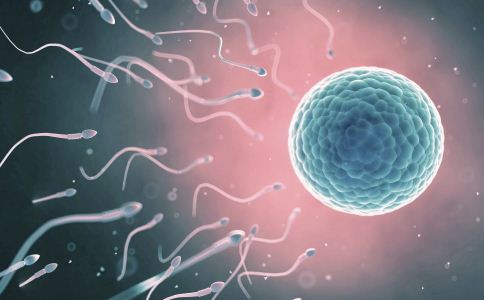 同房多久怀孕试管婴儿的卵子有多重要胚胎移植决定啥